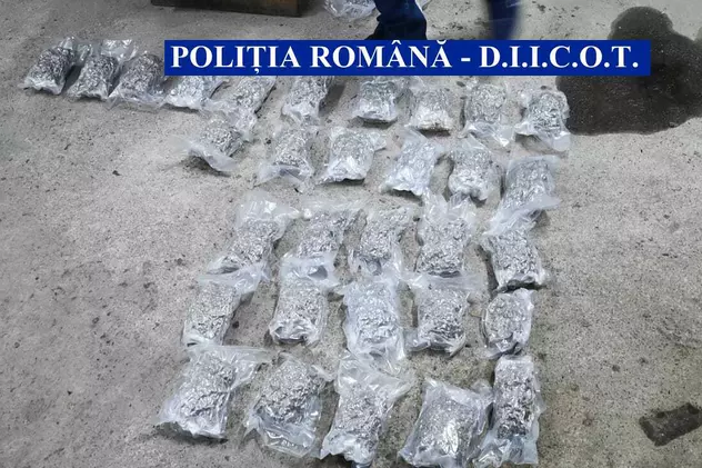 47 de pachete de canabis găsite în rezervorul mașinii. Mașina se îndrepta spre Republica Moldova