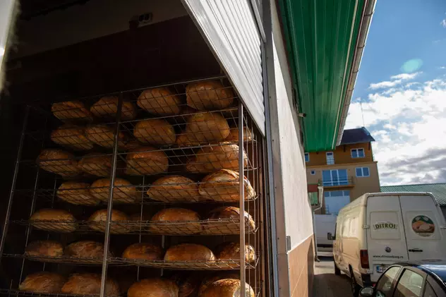 Pâinea așteaptă să fie urcată în mașini și transportată în magazine