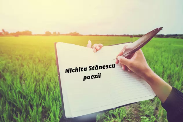 Nichita Stănescu poezii