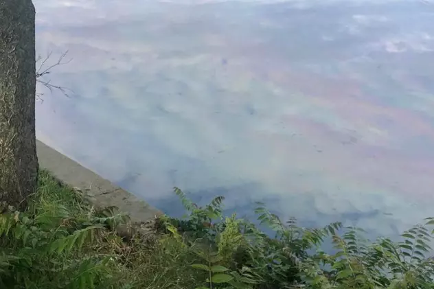 Lacul Băneasa a fost poluat. Garda de Mediu a intervenit și anunță: „Făptașul riscă o pedeapsă cu închisoarea de până la cinci ani”