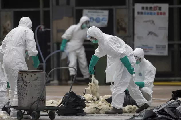 China închide toate pieţele de păsări vii din cauza pandemiei de coronavirus
