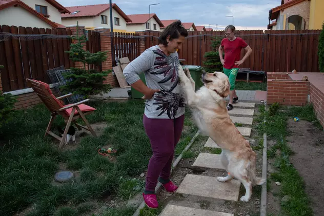 Crima care a șocat iubitorii de animale: câinii otrăviți ai familiei româno-norvegiene care îngrijește animale abandonate lângă Brașov