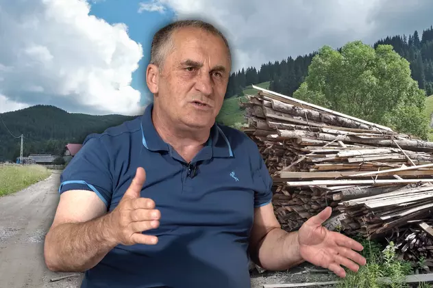VIDEO | Mărturia hoților de lemn înainte de cătușe! Un pădurar recunoaște: “Am fost parte la furat. Banii ajung și la partid”