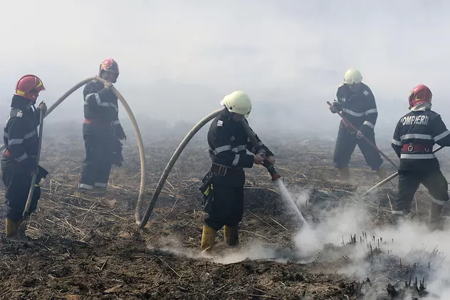 27 de incendii de vegetație, în doar 48 de ore, în Vâlcea. 400 de hectare afectate