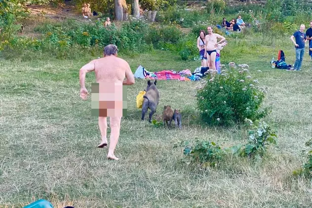 Imagini hilare pe o plajă de nudiști din Germania: un bărbat aleargă un mistreț care îi luase punga cu laptopul!