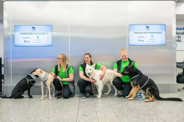 VIDEO | Câini antrenaţi să depisteze COVID, aduşi pe aeroportul din Helsinki. „Pot descoperi boala înainte să apară primele simptome”