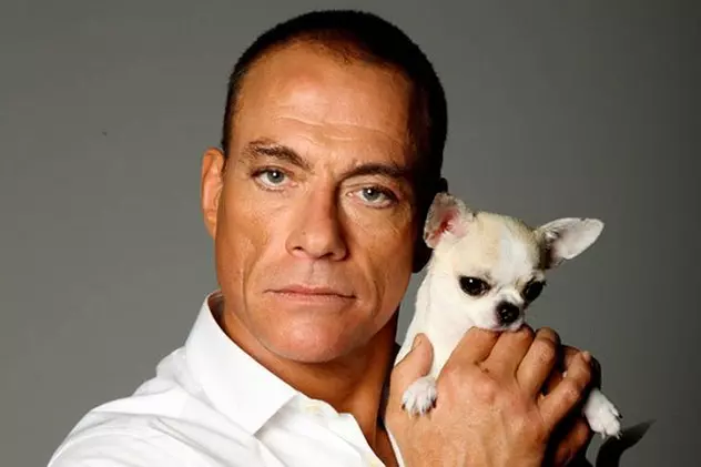 Jean-Claude Van Damme a salvat de la moarte o căţeluşă Chihuahua fără documente legale