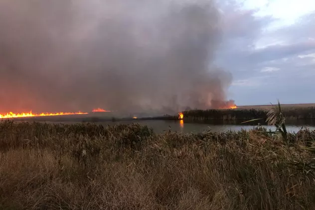 VIDEO | Incendiu de proporții în Delta Dunării. Au ars 700 de hectare de vegetație din zona protejată