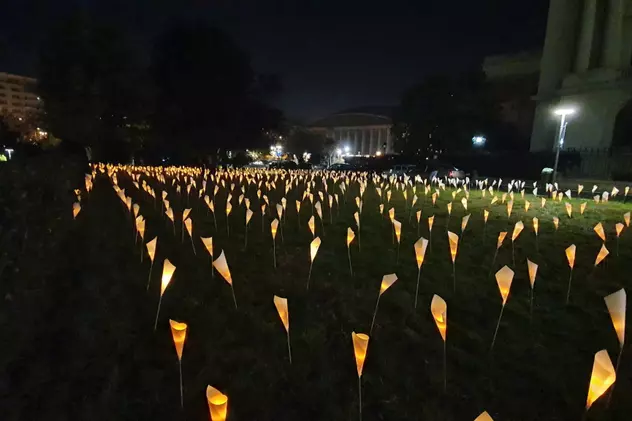 “Infografia inocenței” | În Piața Revoluției au fost “plantate” 1.166 de flori luminate, în memoria eroilor Revoluției