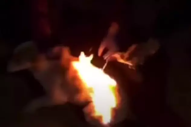 VIDEO | Caz șocant în județul Buzău. Dornici să se distreze, câțiva minori au incendiat un câine