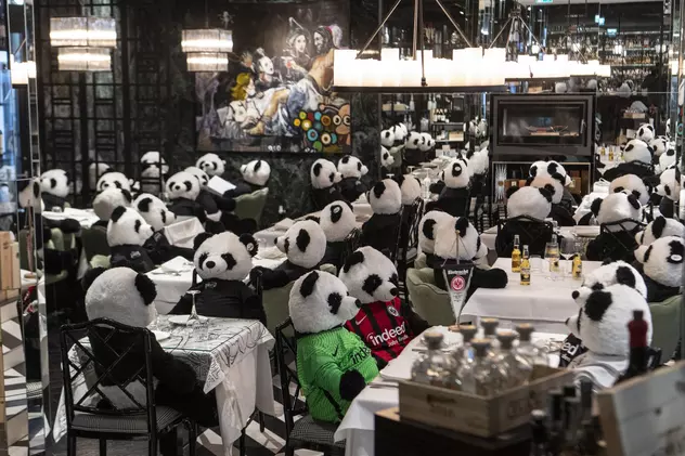 Urși panda de pluș, pe post de clienți. Protestul unui restaurant din Germania față de restricții
