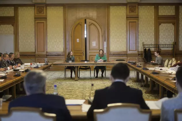 Audieri in sedinta comisiilor reunite de cultura ale Parlamentului pentru ocuparea unui loc ce urmeaza a se vacanta in Consiliul National al Audiovizualului (CNA), noiembrie 2018. Foto: Hepta