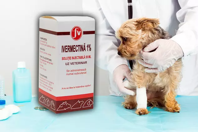 Avertismentul medicilor veterinari, după ce oamenii au început să cumpere Ivermectină, un medicament antiparazitar folosit la câini, ca tratament anti-Covid