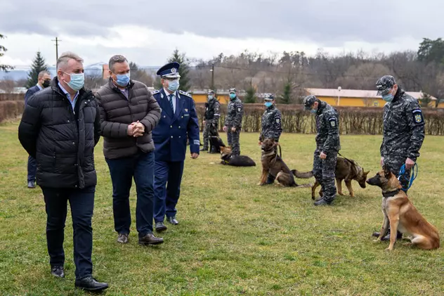 Câinii antrenați să depisteze persoanele cu COVID-19 vor fi folosiți pe aeroportul din Sibiu, anunță ministrul de interne