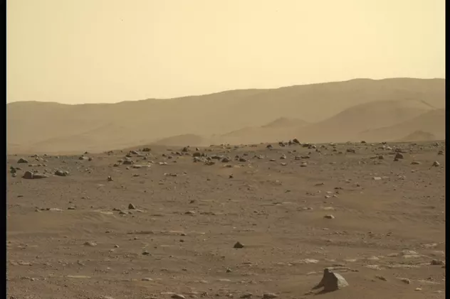 Mucegaiul negru ar putea supraviețui pe Marte. Cum ar putea ajuta acest lucru la explorarea spațială