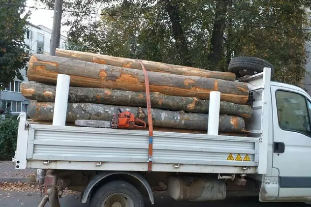 Un activist de mediu a fost bătut și sechestrat de trei tineri care furau lemne dintr-o pădure din Prahova