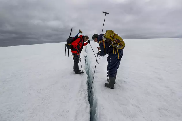VIDEO |  „Creaturi stranii”, descoperite sub gheață în Antarctica