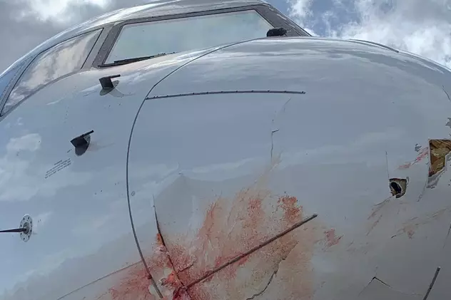 Avionul care transporta echipa de baschet Utah Jazz s-a întors de urgență pe aeroport, după ce a lovit un stol de păsări