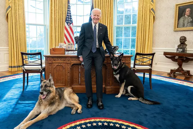 Câinii președintelui american Joe Biden, dați afară de la Casa Albă, după ce unul dintre ei a atacat un agent de securitate