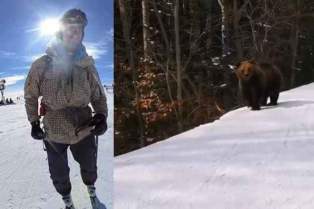 Cum a reușit un monitor de schi să scoată un urs de pe pârtie, în Predeal, după o cursă contra cronometru: „Ideea a fost să-l obosesc și să plece în pădure”