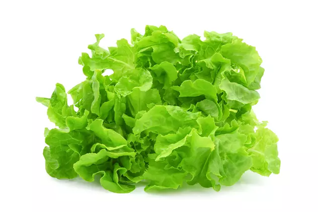 Salata verde - beneficii si retete