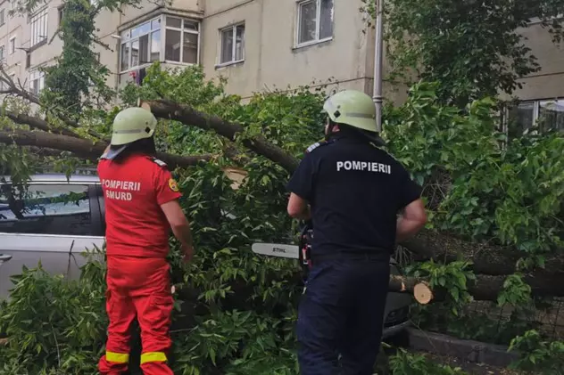 Macara doborâtă de vânt în Mamaia. În țară, copacii puși la pământ de furtună au avariat mai multe mașini