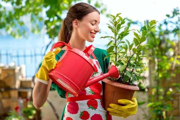 Cum uzi corect plantele și florile de apartament și de grădină pentru a le menține frumoase