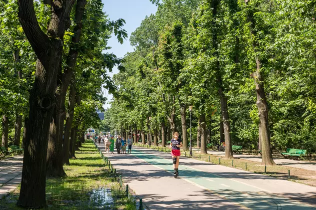 Parcuri din București. Unde sunt cele mai frumoase locuri verzi din Capitală