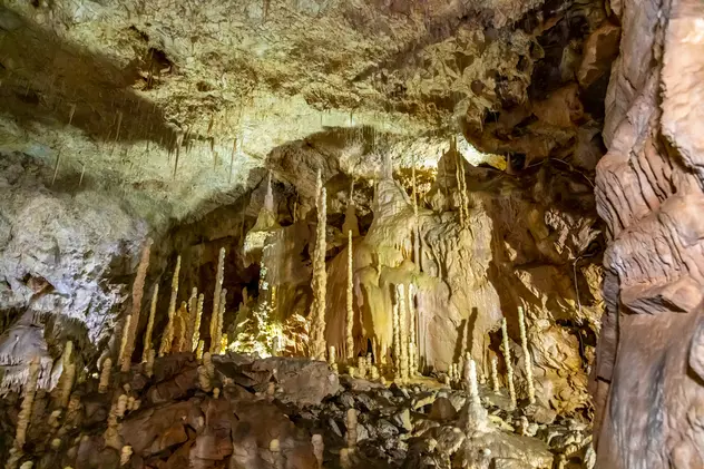 Peștera Urșilor - Chișcău