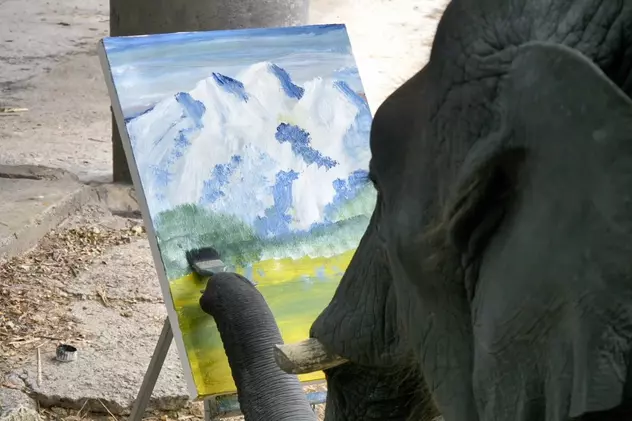 Un pui de elefant din Thailanda pictează tablouri care se vând la licitație cu sute de lire