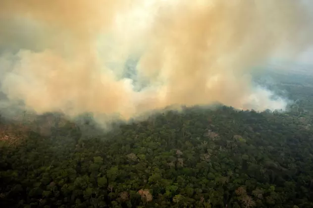 „Plămânul planetei” a devenit sursă de poluare. Cercetătorii spun că pădurea amazoniană emite mai mult CO2 decât absoarbe