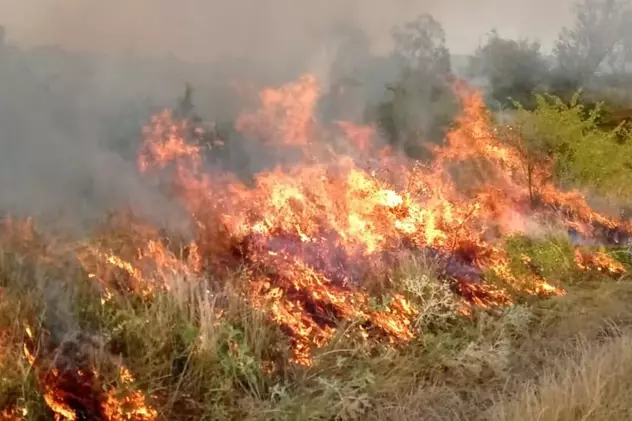 Incendiile forestiere și de vegetație îngrijorează autoritățile. Decizia ministrului mediului