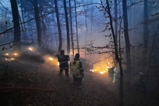 Incendiul din Oituz a fost stins după 10 zile. 35 de hectare de pădure, mistuite de flăcări