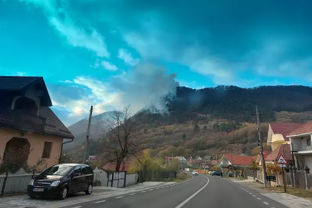 Pompierii băcăuani luptă de peste 12 ore să stingă incendiul izbucnit într-o pădure. Au ars 12 hectare