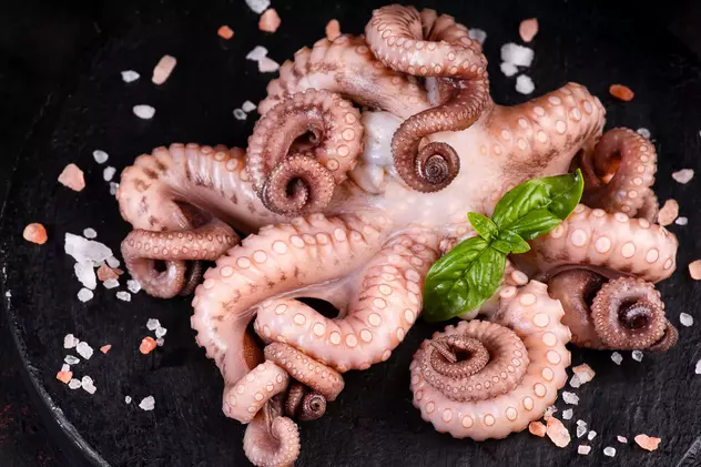 Cum gătești caracatița. Metoda de tăiere și preparare