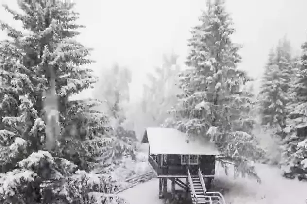 VIDEO | Ninsoare ca-n povești la Fundata. Zăpadă și la Bran, și în Poiana Brașov