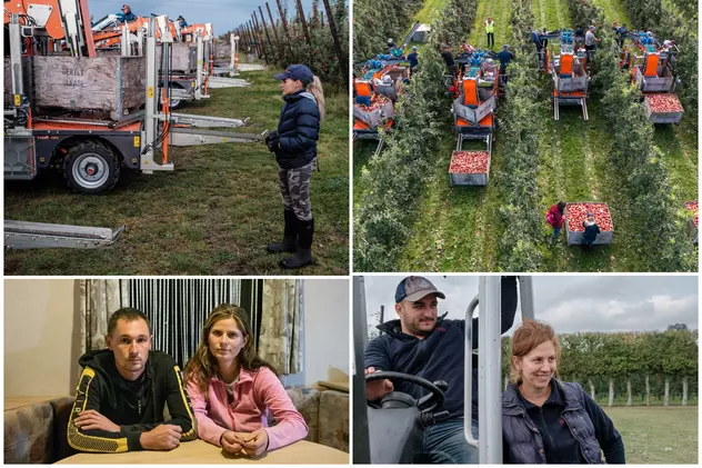 Imagini și povești inedite din interiorul fermelor din UK. Muncitorii români: „Ne lipsește familia și simțim că facem prea multe joburi”