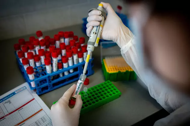 Guvernul ceh propune două teste PCR obligatorii în fiecare săptămână pentru toți angajații