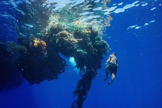 Oamenii de știință au descoperit un ecosistem marin în zona cunoscută drept „Marele petic de gunoi al Pacificului”