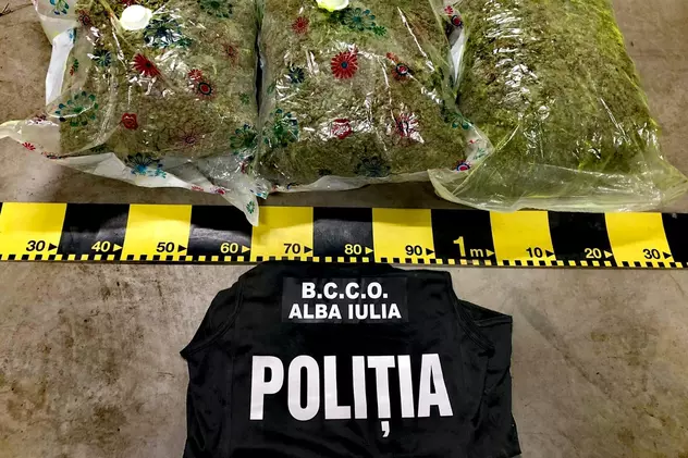 Tânăr din Alba, prins de DIICOT cu 7,5 kg de canabis. Cum au fost introduse drogurile în țară