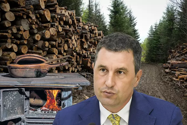 România mai are 29% din teritoriu păduri, Austria are 48%, dar ministrul mediului ne sfătuiește să ardem mai mult lemn, „ca austriecii”. Cât ardem noi și ei, de fapt?