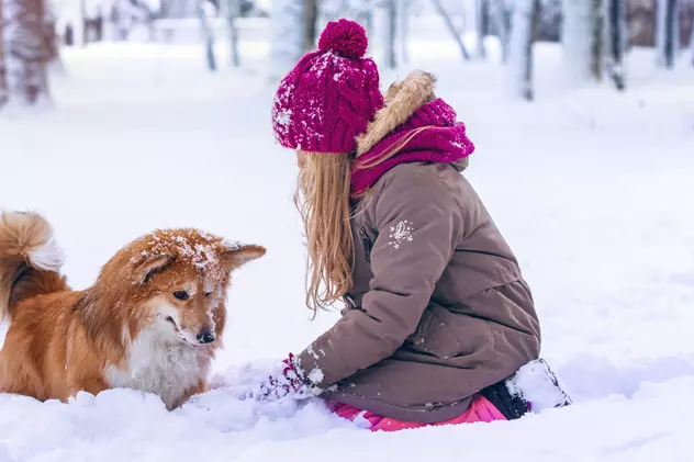 O fetiță din Rusia a supraviețuit unei nopți cu furtună de zăpadă îmbrățișând un câine ca să se încălzească