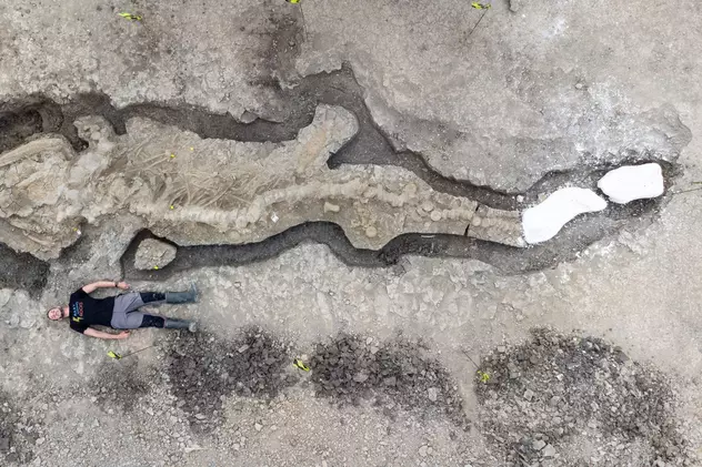 Rămăşiţele vechi de milioane de ani, ale unui prădător marin, lung de 10 metri, descoperite în Anglia