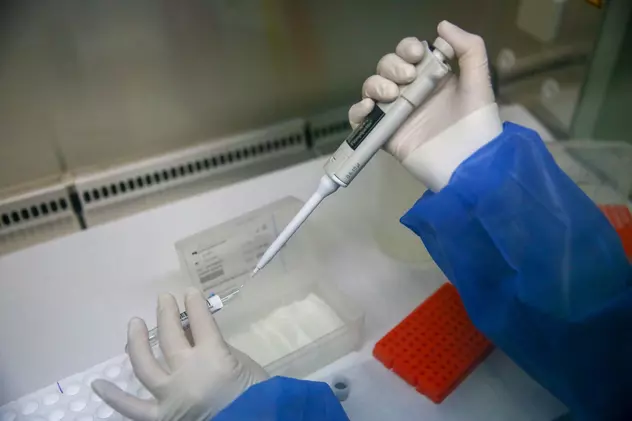 Un virus care afectează 95% dintre adulți e responsabil pentru scleroza multiplă, au descoperit cercetătorii americani