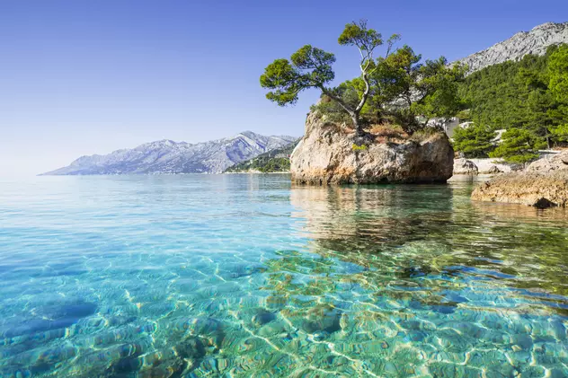 Marea Adriatică Curiozitati