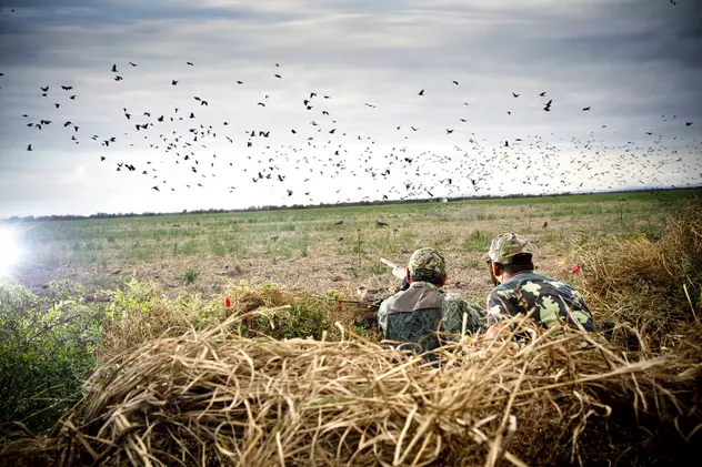 Noile modificări la legea vânătorii sunt constituționale, a decis CCR. Activiștii de mediu spun că vor decima zeci de specii de păsări migratoare