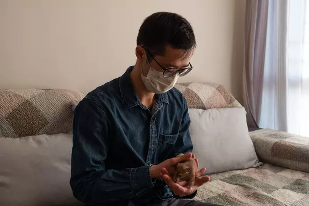 Operațiune clandestină în Hong Kong pentru salvarea celor 2.000 de hamsteri pe care autoritățile vor să-i sacrifice