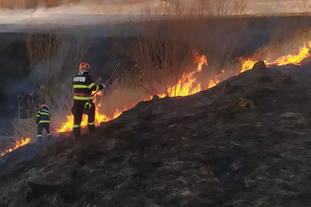 Opt incendii de vegetație, în județul Botoșani. 70 de hectare au ars în doar câteva ore