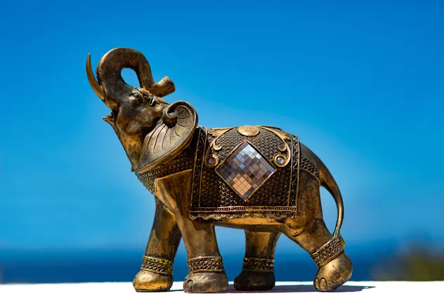 Ce simbolizeaza elefantul