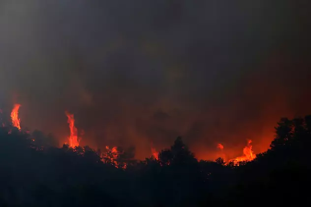 Argentina se confruntă cu incendii puternice de vegetație. „Sunt distruse cam 20.000 de hectare pe zi”